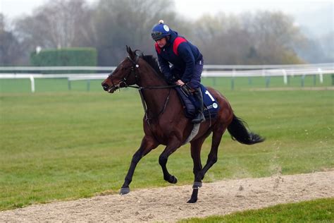 cheltenham placepot|Cheltenham Festival Day One: race.